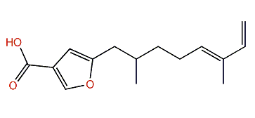 (E)-5-(2,6-Dimethyl-5,7-octadienyl)-3-furancarboxylic acid